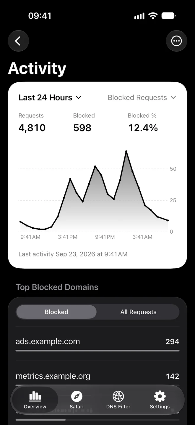 DNS Activity with request statistics, a black gradient line chart, and ranked domains.